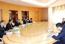 Priority areas of cooperation between Turkmenistan and UNESCAP were discussed