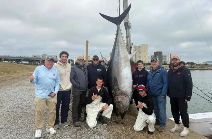 Balykçylar rekord derejede uly tunesi tutdular