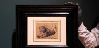 Rembrandtyň «Dynç alýan ýaş ýolbarsy» 17,9 million dollara satyldy