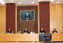 Türkmenistanyň adam hukuklary babatda halkara borçnamalarynyň we halkara ynsanperwer hukugynyň ýerine ýetirilmegini üpjün etmek boýunça pudagara toparynyň nobatdaky mejlisi geçirildi