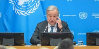 Emeli aň boýunça ilkinji global ylmy topar döredilýär