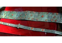 Ahalteke bedewi – gözelligiň nusgasy