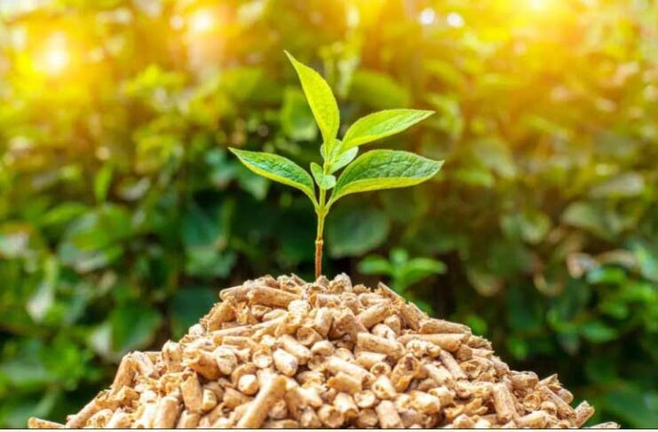 Biomassa energiýasynyň önümçiliginde öňdebaryjy ýurtlar