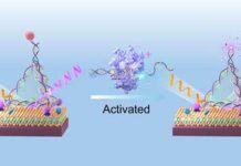 New Light-Based CRISPR Sensor Could Revolutionize Early Cancer Detection