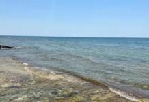 Hazar deňzini goramaga 2 million dollar goýberildi