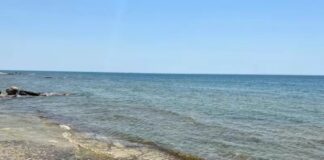 Hazar deňzini goramaga 2 million dollar goýberildi