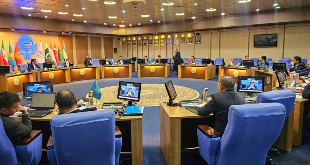 eco-meetting-ykdysady-hyzmatdashlyk