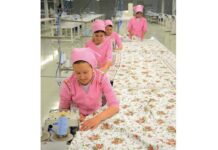 Швейная фабрика города Берекет на пути к новым достижениям