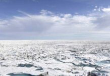 Fin aýlagy soňky on ýylda iň ýokary derejede doňup biler