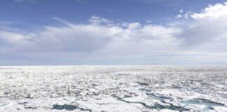 Fin aýlagy soňky 10 ýylda iň ýokary derejede doňup biler