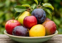 Предпринимательница из Мары развивает сельское хозяйство и фруктовые сады