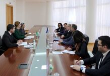 BSGG-niň Ýewropa sebiti edarasynyň direktory bilen duşuşyk geçirildi