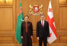 Türkmenistanyň Mejlisiniň Başlygy Gruziýanyň Prezidenti bilen duşuşdy