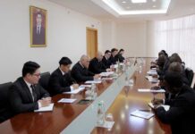 Türkmenistanyň we Zimbabwe Respublikasynyň Daşary işler ministrlikleriniň arasynda syýasy geňeşmeler geçirildi