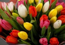 Дорогие соотечественницы! Уважаемые матери, сестры и дочери!