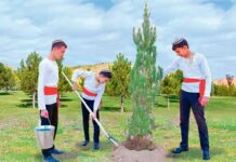 Tebigat täze baglar bilen gözelleşýär