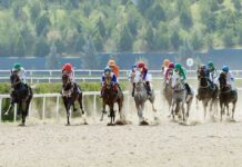 Bedew bady: güýç hem gözellik