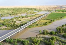 «Ýaşyl» maksatnama netije berdi