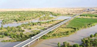 «Ýaşyl» maksatnama netije berdi