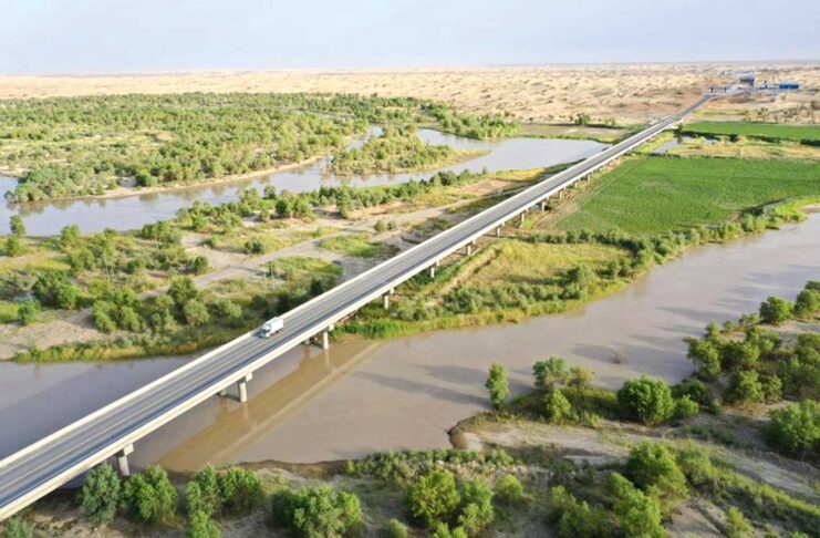 «Ýaşyl» maksatnama netije berdi