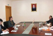 Türkmenistanyň BMG-niň Ilat Gaznasy bilen hyzmatdaşlygynyň geljegi ara alnyp maslahatlaşyldy