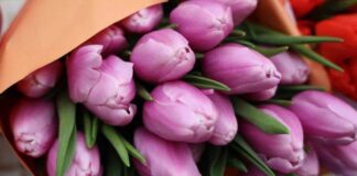 Gyrgyzystan gül eksportyny artdyrýar