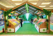 Hususy ulgam – milli ykdysadyýetiň daýanjy