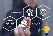 “Türkmenistanyň intellektual eýeçilik ulgamyny ösdürmegiň 2026 — 2052-nji ýyllar üçin Konsepsiýasy” tassyklandy