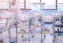 Bäşem bäbekler dünýä indi