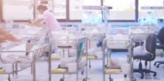 Bäşem bäbekler dünýä indi