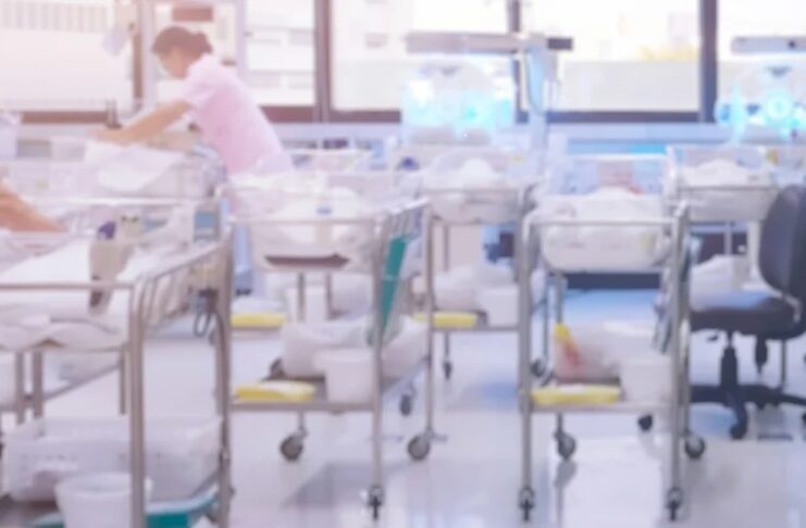 Bäşem bäbekler dünýä indi