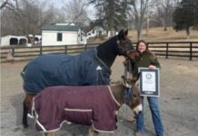 Ýakynda 38 ýaşaýar