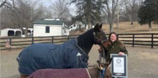 Ýakynda 38 ýaşaýar