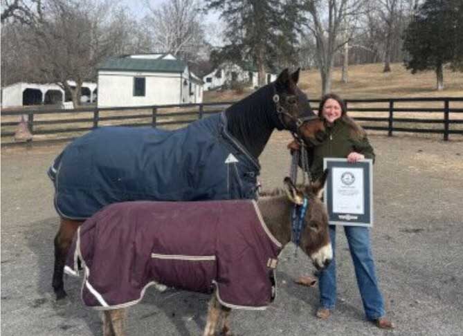 Ýakynda 38 ýaşaýar