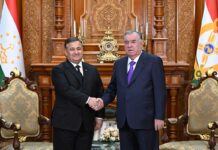 Täjigistanyň Prezidenti Türkmenistanyň Ministrler Kabinetiniň Başlygynyň Orunbasaryny kabul etdi