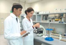 В Туркменистане разработали новый способ получения красок из серы