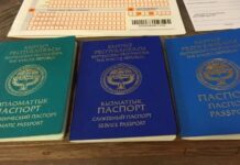 Kyrgyzstan and Egypt introduce visa-free regime for diplomats