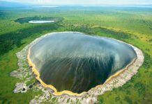 Tanzaniýanyň ýaşyl krateri