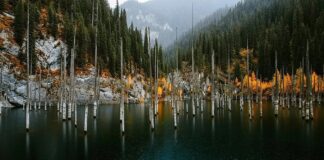 Gazagystan goraghanalarynyň çägini we ekosyýahatçylygy giňeldýär