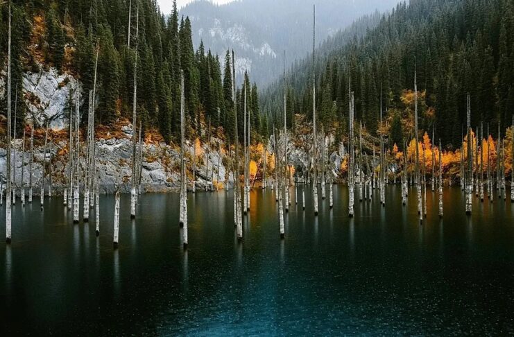 Gazagystan goraghanalarynyň çägini we ekosyýahatçylygy giňeldýär