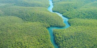 Süýji suw gorlaryna baý ýurtlaryň sanawy