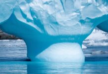 Antarktidada täze dünýä rekordy