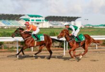 Türkmen bedewleri – halkymyzyň buýsanjy