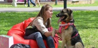 It bilen adamyň dostlugy 15 müň ýyl ozal başlapdyr