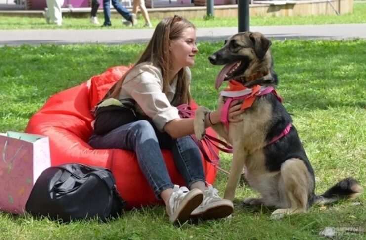 It bilen adamyň dostlugy 15 müň ýyl ozal başlapdyr