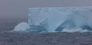 Dünýäniň iň uly aýsbergi “A23a” 40 ýyldan soň dargady