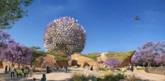 Innowasiýa merkezi gurulýar