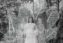 “Sony World Photography Awards” 2026-nyň ýeňijileri yglan edildi