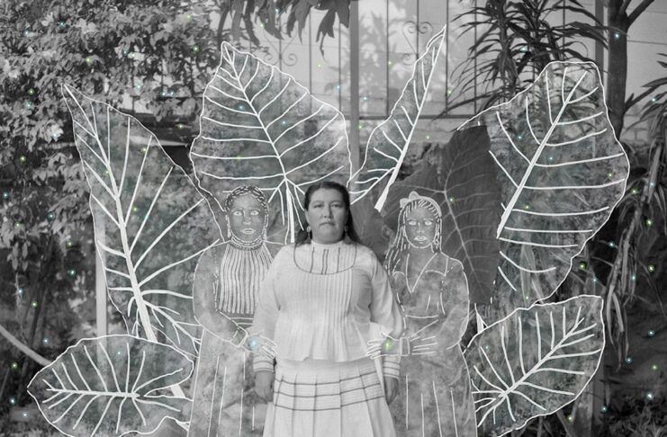 “Sony World Photography Awards” 2026-nyň ýeňijileri yglan edildi