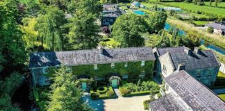 Irlandiýada 20 million ýewro tutuş oba satylýar